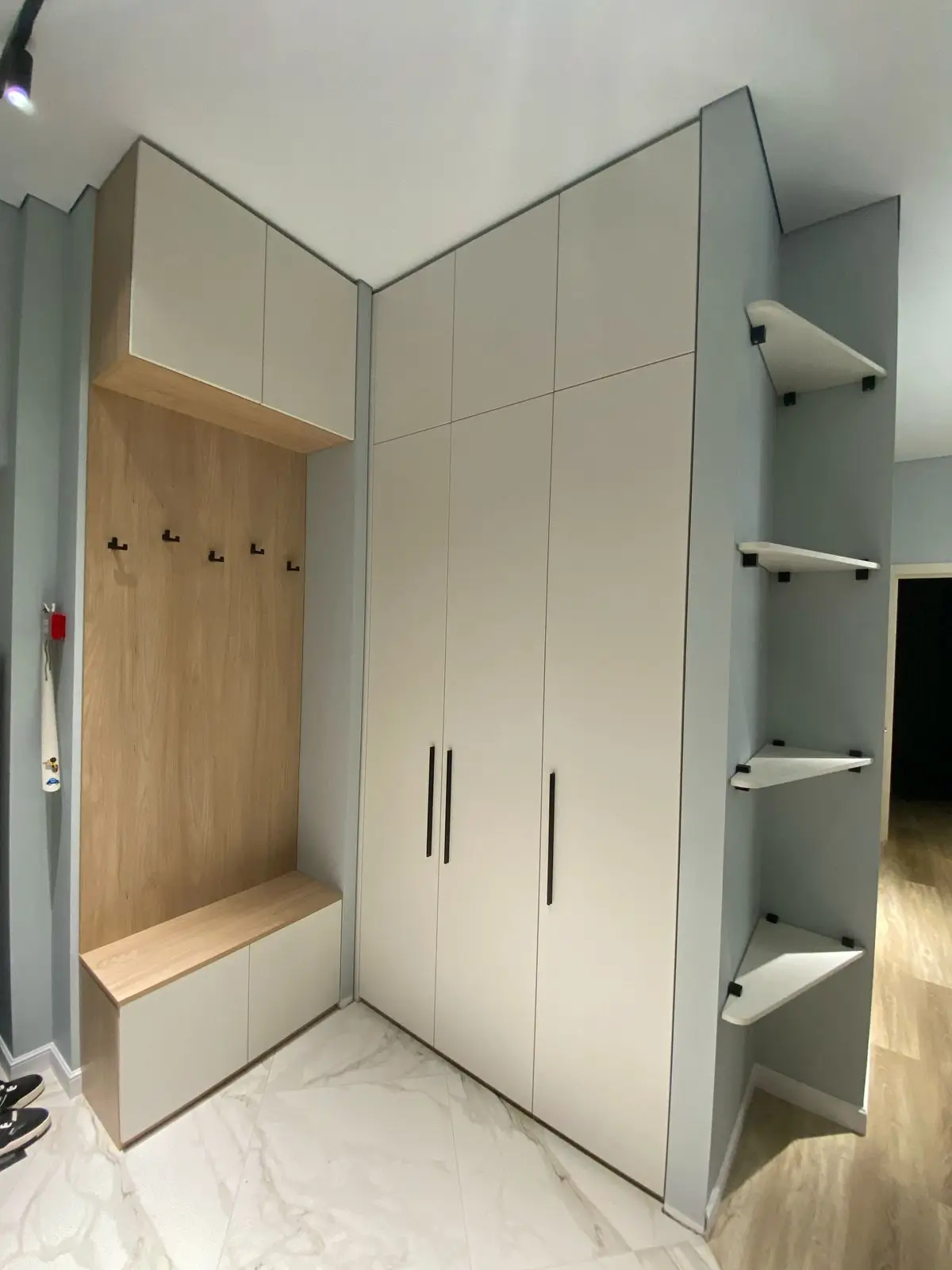 Шкаф в прихожую, общий вид